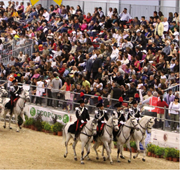 Riparte il Salone Internazionale dell'Equitazione e dell'Ippica della capitale