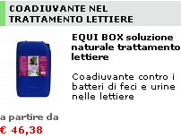 Promo e-shop