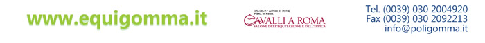 Equigomma - Cavalli a Roma - info@poligomma.it