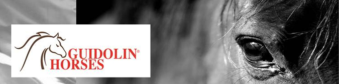 Sella da salto Pariani Pro Grip in cuoio ingrassato e in gel anti shock