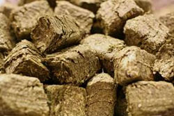 Sella da salto Pariani Pro Grip in cuoio ingrassato e in gel anti shock