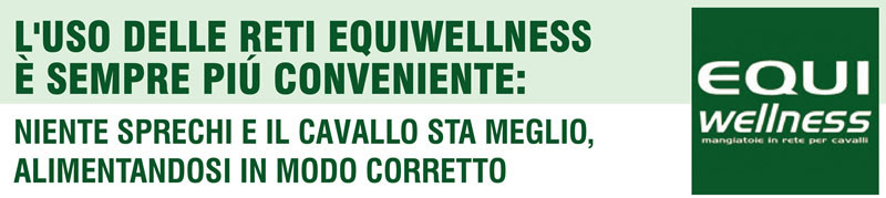 L'USO DELLE RETI EQUIWELLNESS È SEMPRE PIÙ CONVENIENTE: NIENTE SPRECHI E IL CAVALLO STA MEGLIO, ALIMENTANDOSI IN MODO CORRETTO