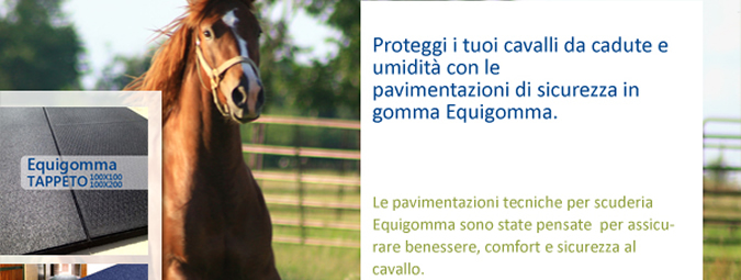 Proteggi i tuoi cavalli da cadute e umidità con le pavimentazioni di sicurezza in gomma Equigomma. Le pavimentazioni tecniche per scuderia Equigomma sono state pensate per assicurare benessere, comfort e sicurezza al cavallo.