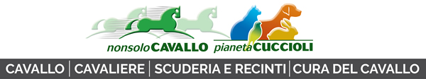 NonsoloCavallo - Pianeta Cuccioli