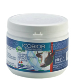 Icobior