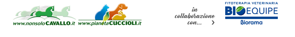 NonsoloCavallo in collaborazione con Bioequipe - Biorama