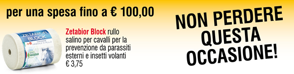 per una spesa fino a € 100