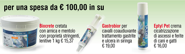 per una spesa da € 100 in su