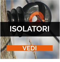 Isolatori