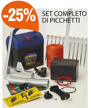 Set completo di picchetti