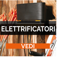 Elettrificatori
