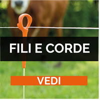 Fili e corde