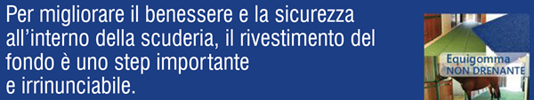 Per migliorare il benessere e la sicurezza all’interno della scuderia, il rivestimento del fondo è uno step importante e irrinunciabile.