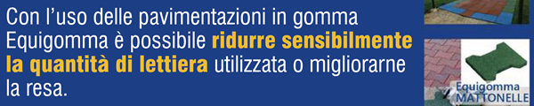 Con l’uso delle pavimentazioni in gomma Equigomma è possibile ridurre sensibilmente la quantità di lettiera utilizzata o migliorarne la resa.