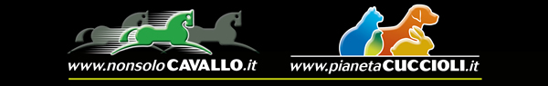 NonsoloCavallo - Pianeta Cuccioli
