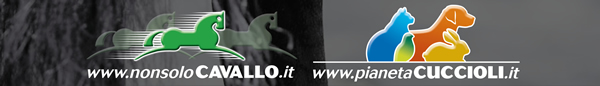 NonsoloCavallo - Pianeta Cuccioli