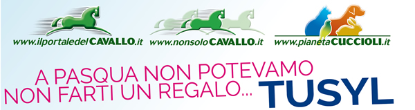 A Pasqua non potevamo non farti un regalo... TUSYL