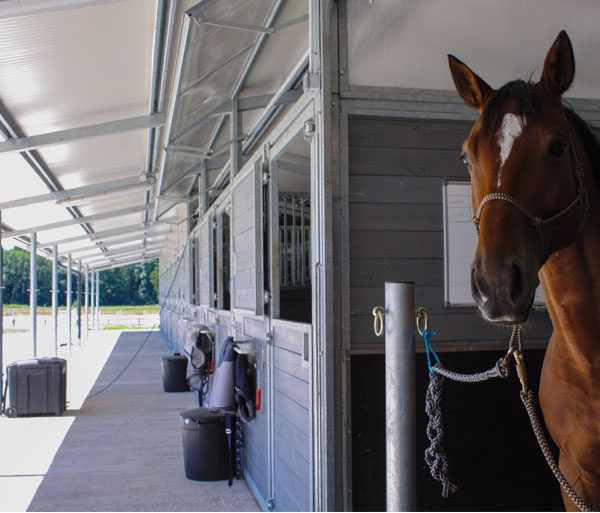 Nord Piave: consulenza e progettazione