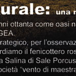 Sardegna - Turismo rurale Menhirs