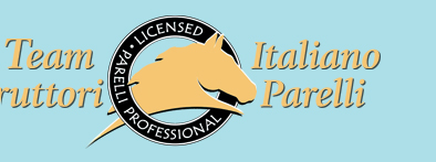 Team Italiano Istruttori Parelli