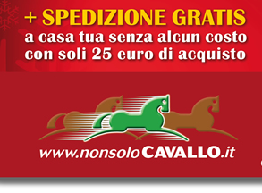 10% EXTRA SCONTO + SPEDIZIONE GRATUITA: 10 giorni surpirse solo per i nostri iscritti
