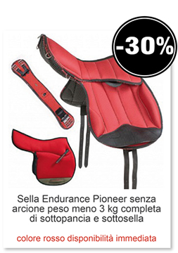 Sella Endurance Pioneer senza arcione peso meno 3 kg completa di sottopancia e sottosella