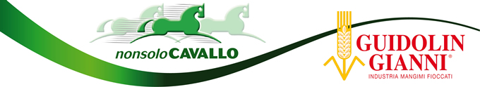 NonsoloCavallo - Guidolin Gianni