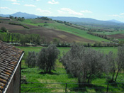 La Vecchia Posta - Agriturismi Farina