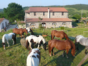 Tenuta Sant'Agnese