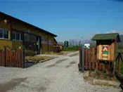 A.S.D.D.E. Monsereno Horses