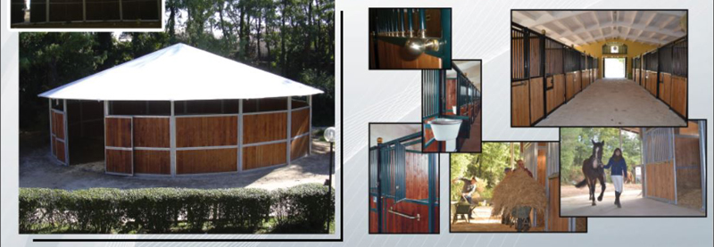 Fieracavalli Verona 2014