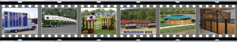 Fieracavalli Verona 2014