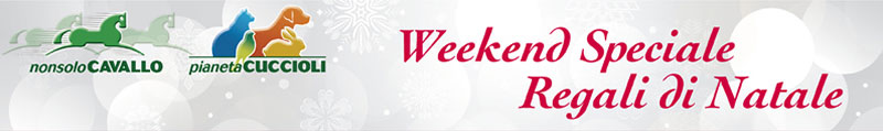 Weekend Speciale - Regali di Natale