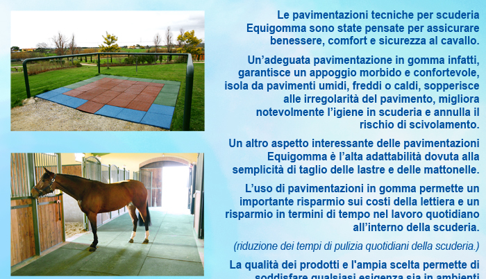 EQUIGOMMA: le pavimentazioni tecniche che assicurano comfort, benessere e massima sicurezza