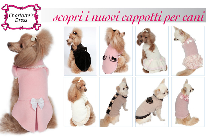 Scopri i nuovi cappotti per cani