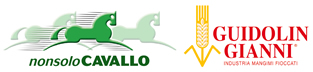 NonsoloCavallo - Guidolin Gianni