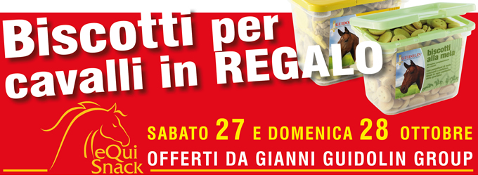 Biscotti per cavalli in REGALO