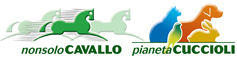 NonsoloCavallo - Pianeta Cuccioli