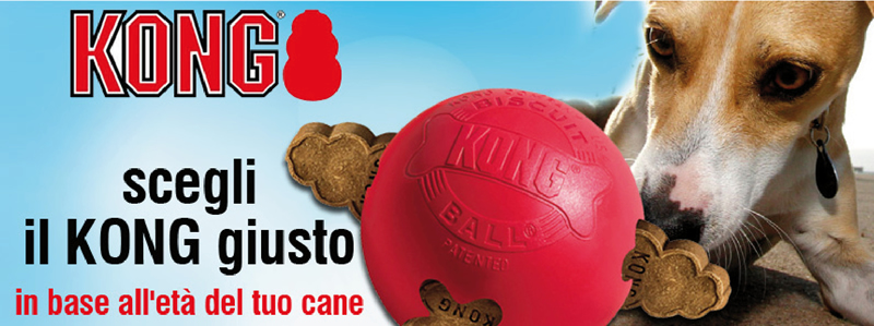 Scegli il KONG giusto in base all'età del tuo cane