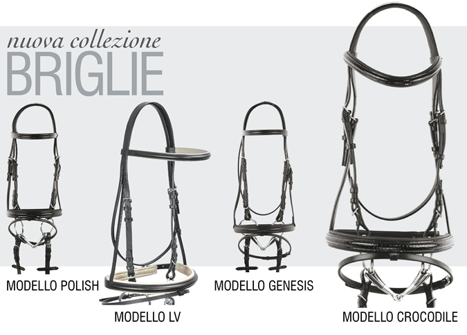 Nuova collezione BRIGLIE