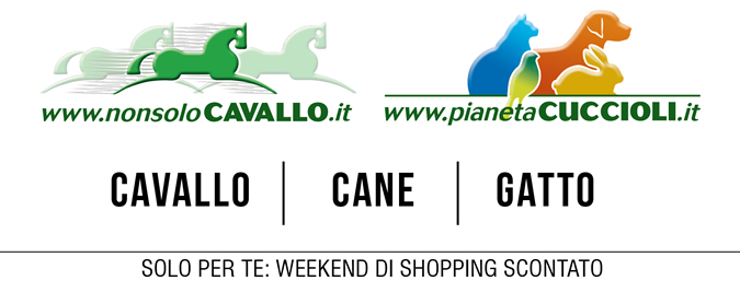 NonsoloCavallo - Solo per text-emphasis: weekend di shopping scontato;