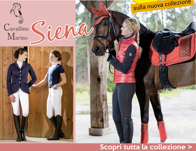 Cavallino Marino - Siena