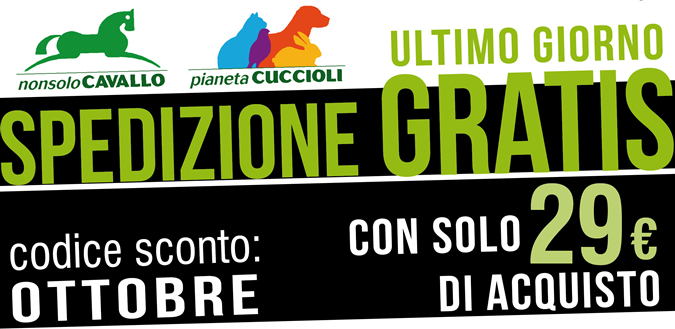 Ultimo giorno di SPEDIZIONE GRATIS con solo 29 € di acquisto. Codice sconto OTTOBRE