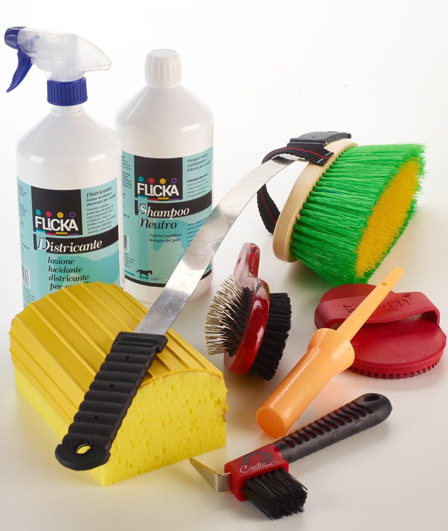 Shampoo districante accessorio