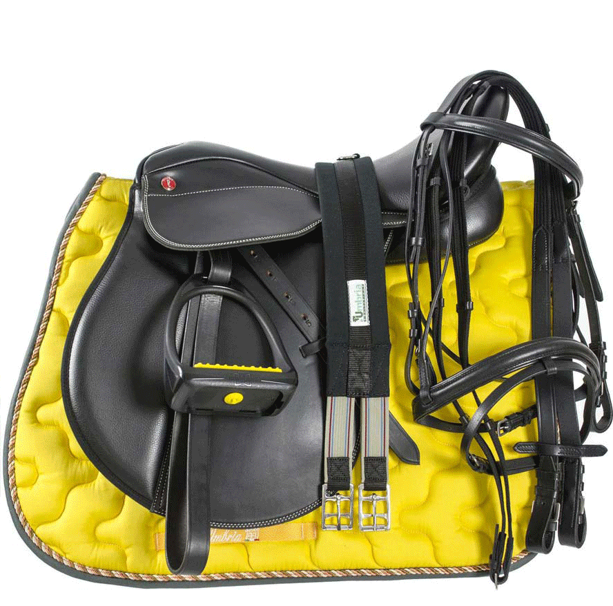 Sella completo adulto