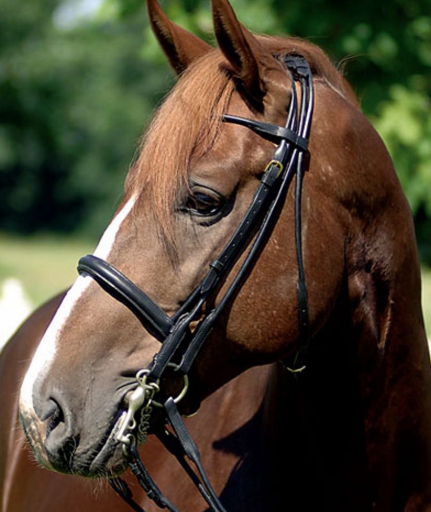 Briglia cuoio tubolare