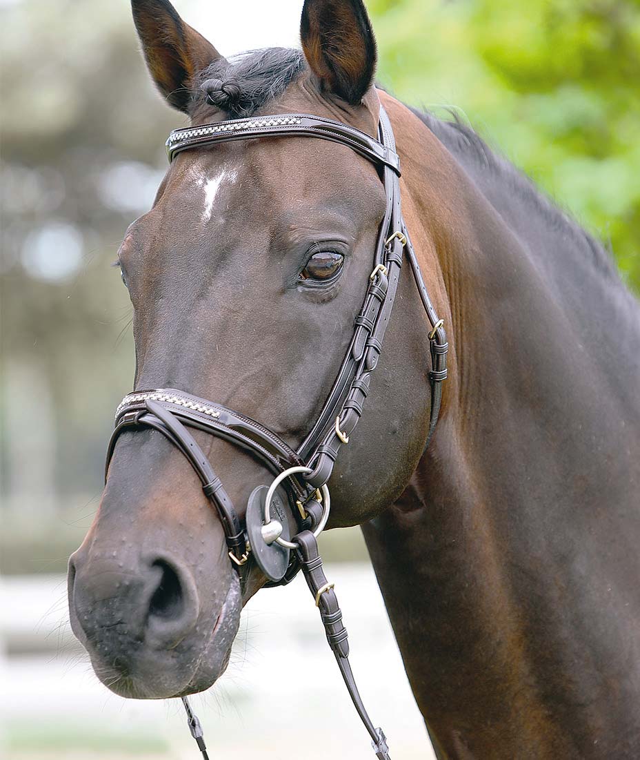 Testiera anallergico strass