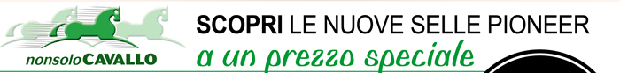 Scopri le nuove selle Pioneer a un prezzo speciale