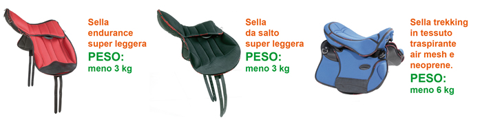 Scopri le nuove selle Pioneer a un prezzo speciale