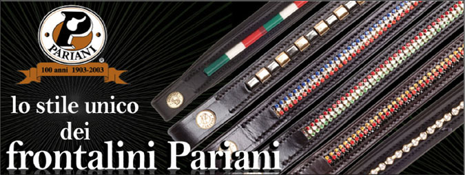 Lo stile unico dei frontalini Pariani